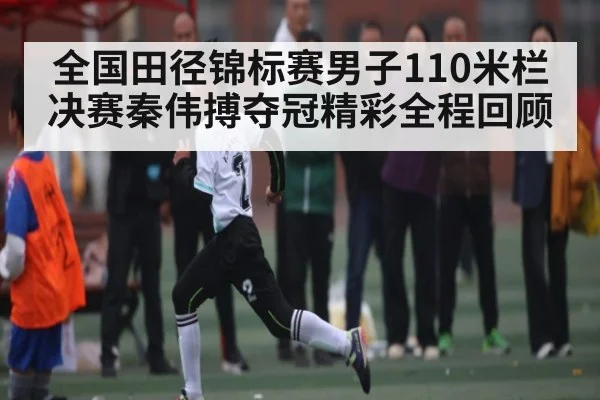 全国田径锦标赛男子110米栏决赛秦伟搏夺冠精彩全程回顾
